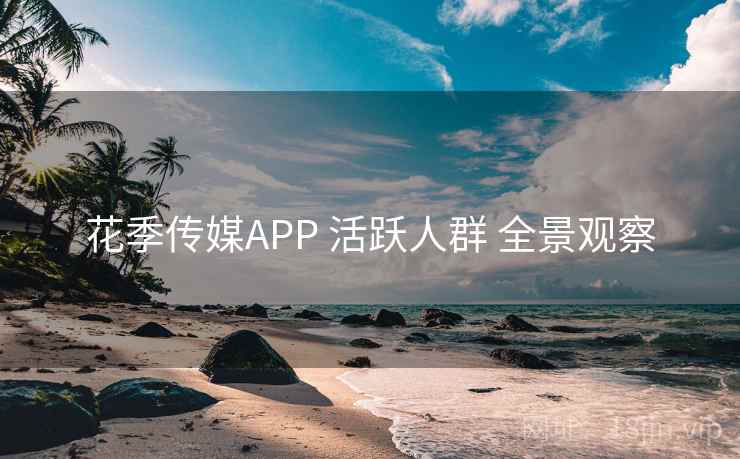花季传媒APP 活跃人群 全景观察