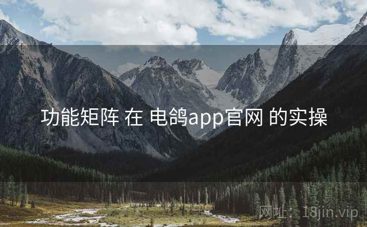 功能矩阵 在 电鸽app官网 的实操