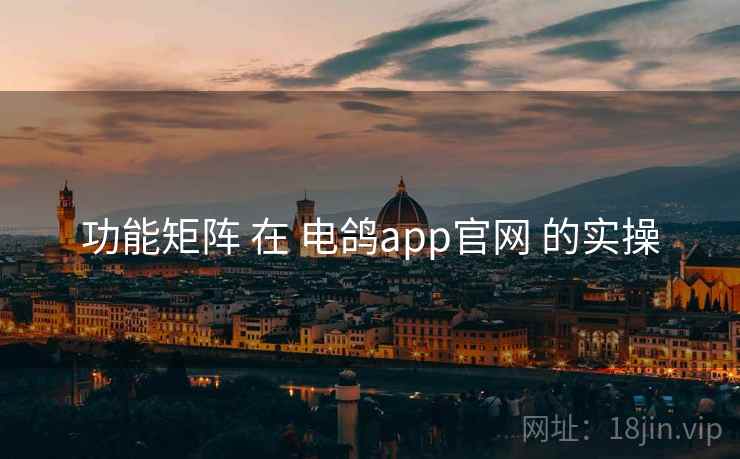 功能矩阵 在 电鸽app官网 的实操