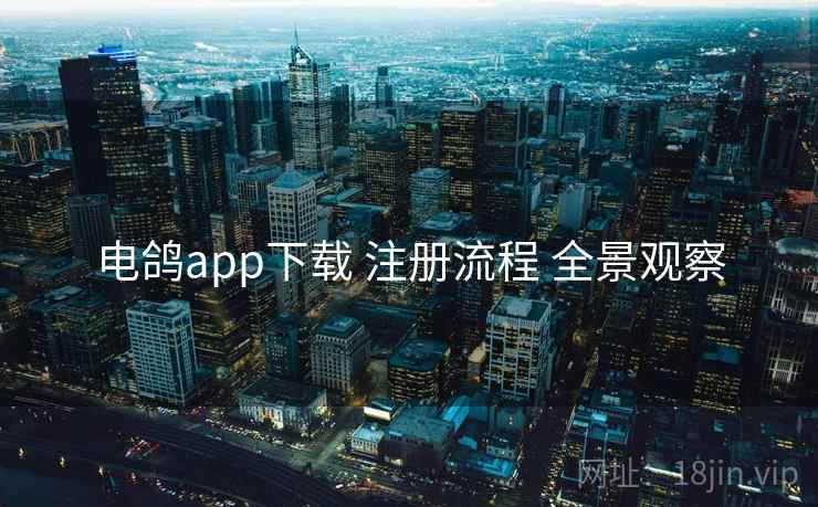 电鸽app下载 注册流程 全景观察