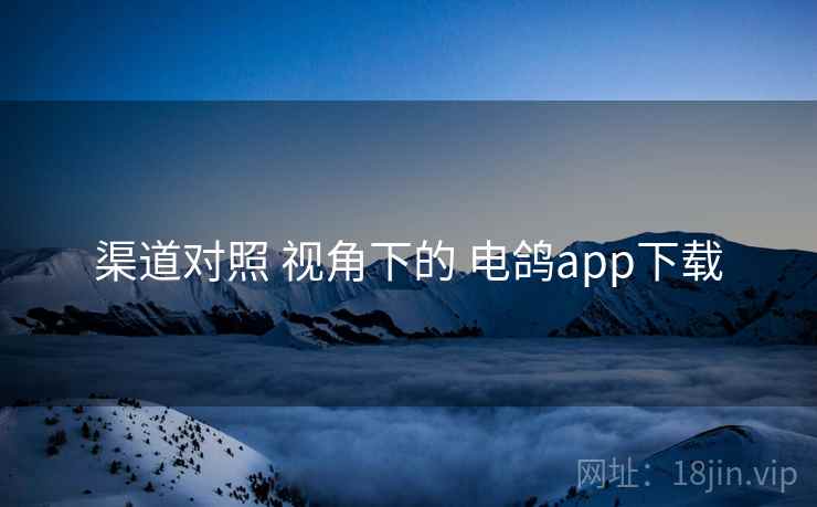 渠道对照 视角下的 电鸽app下载