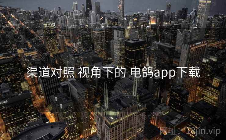 渠道对照 视角下的 电鸽app下载 渠道对照 视角下的 电鸽app下载