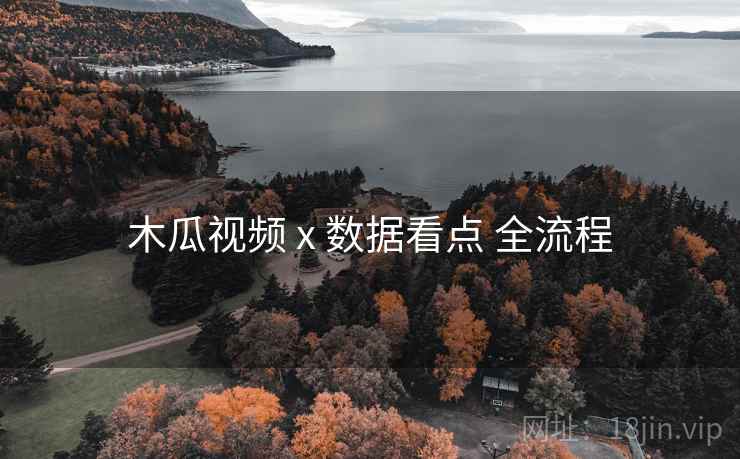 木瓜视频 x 数据看点 全流程 木瓜视频 x 数据看点 全流程