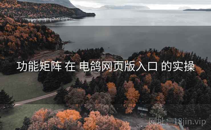 功能矩阵 在 电鸽网页版入口 的实操
