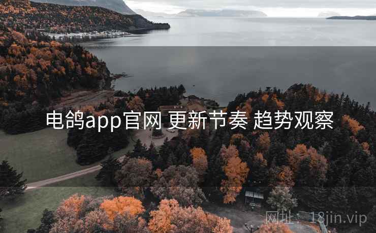 电鸽app官网 更新节奏 趋势观察 电鸽app官网 更新节奏 趋势观察